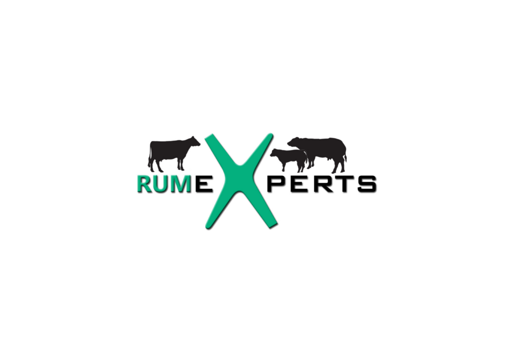 RUMEXPERTS